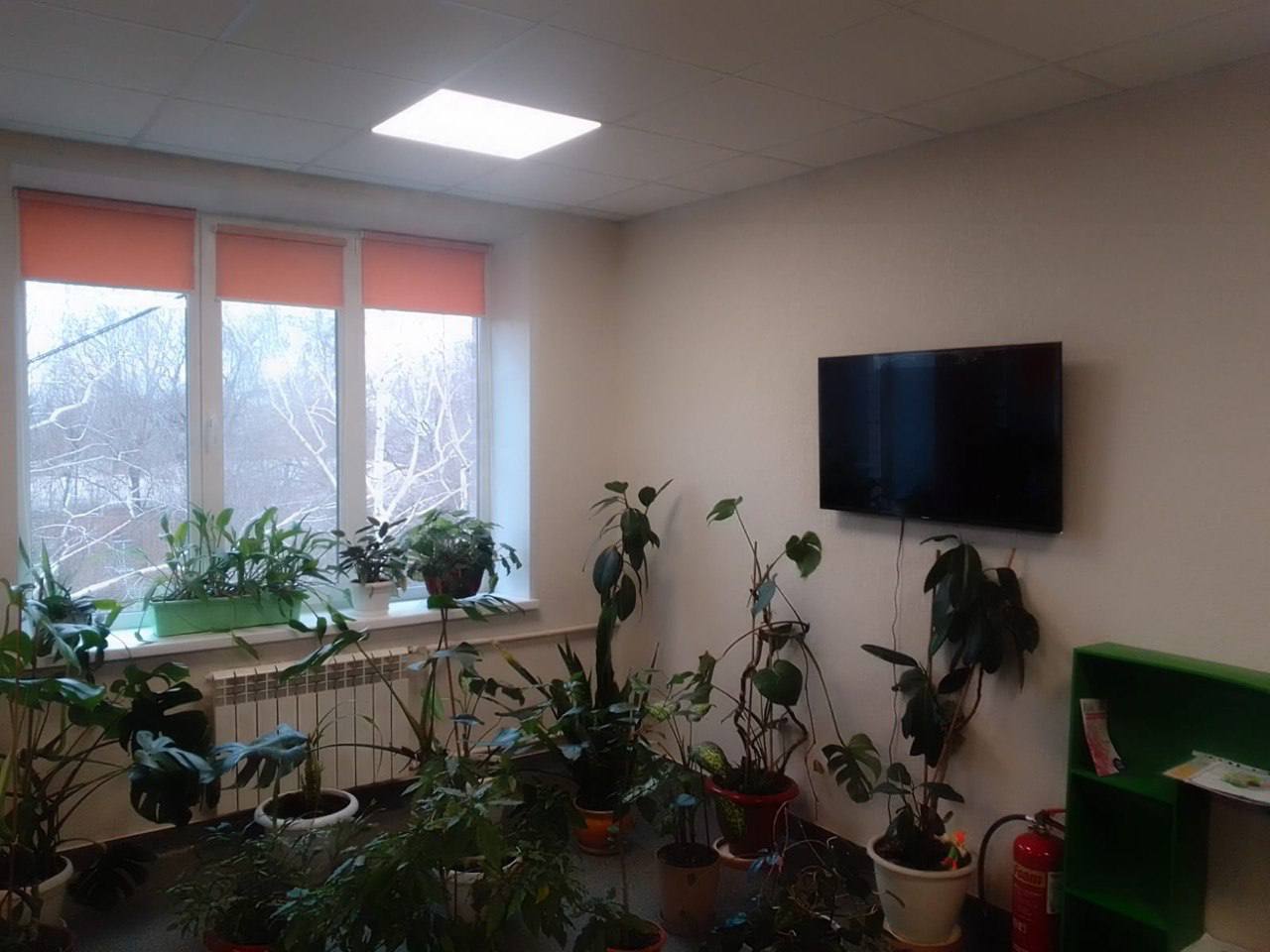Фотозвіт